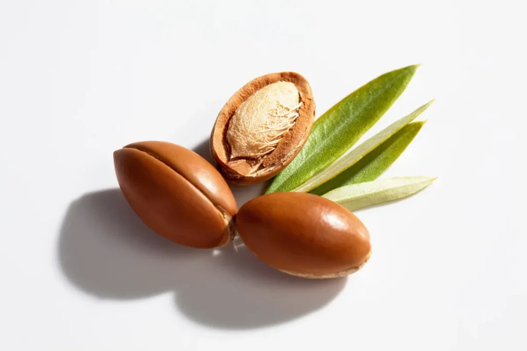 Deux noix d’argan entières et une ouverte montrant l’amandon, posées avec des feuilles vertes sur fond blanc, ombre douce.