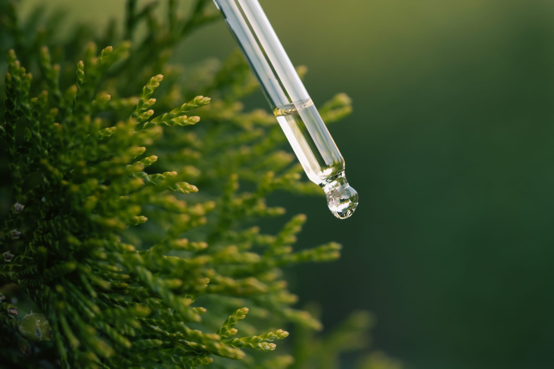 Pipette en verre laissant tomber une goutte de sérum, gros plan sur feuillage vert, lumière naturelle.